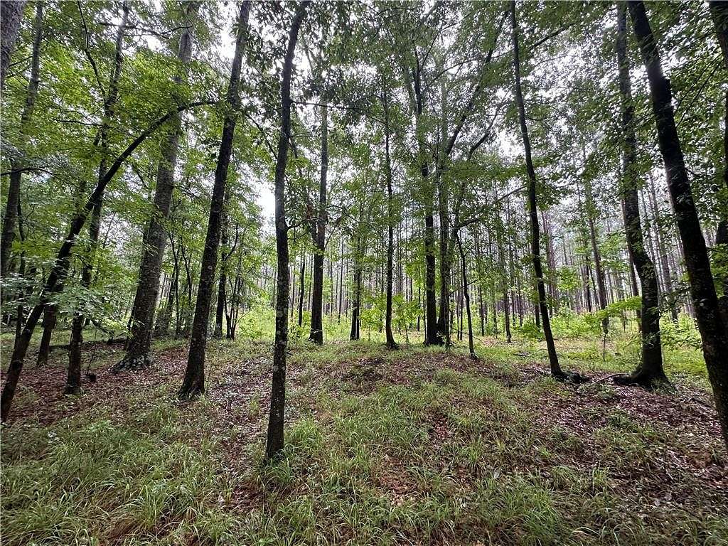 20 Acres of Land for Sale in Seale, Alabama