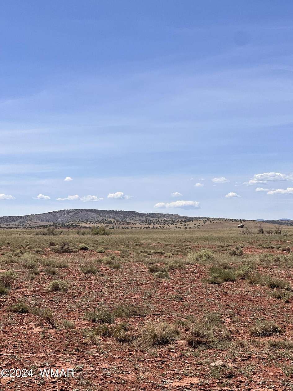 40.18 Acres of Land for Sale in Concho, Arizona