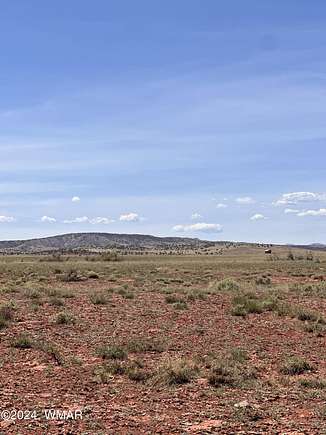 40.18 Acres of Land for Sale in Concho, Arizona