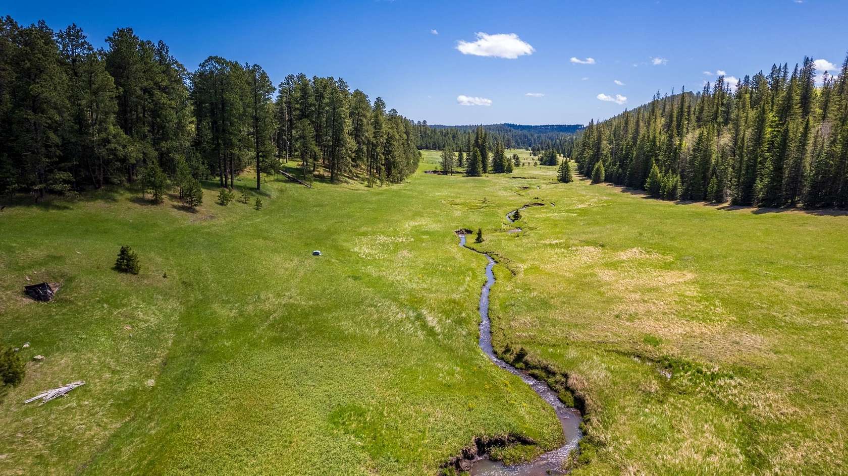 67.3 Acres of Land for Sale in Deadwood, South Dakota