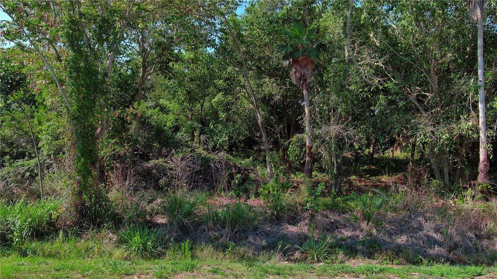 8.25 Acres of Residential Land for Sale in Terra Ceia, Florida