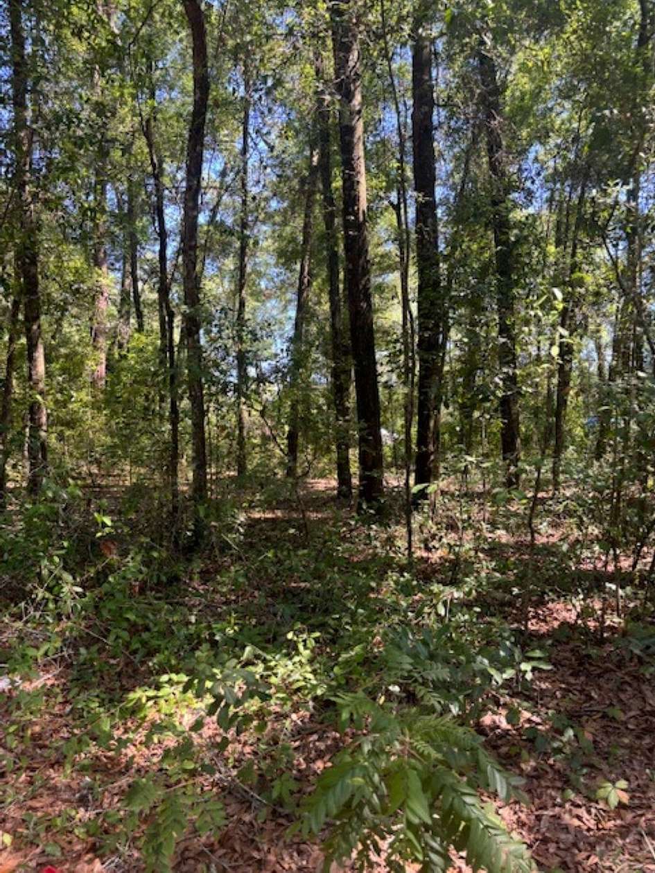0.09 Acres of Residential Land for Sale in Tallahassee, Florida