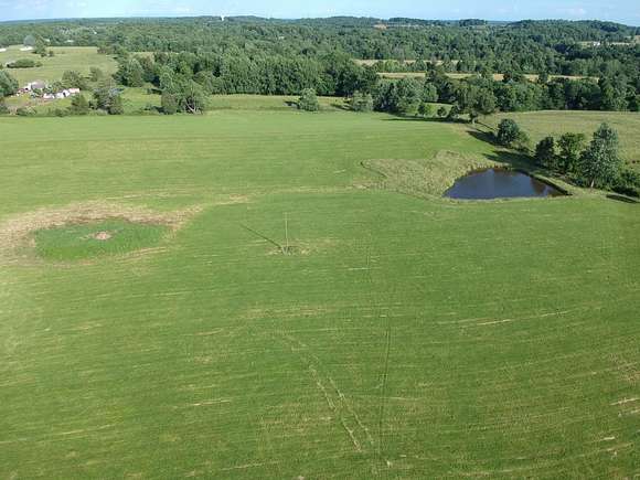 23 Acres of Agricultural Land for Auction in Campbellsville, Kentucky