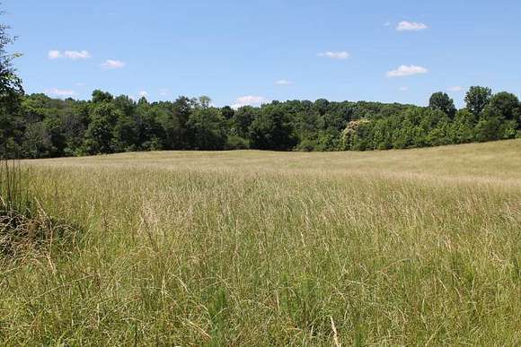 129 Acres of Land for Sale in Bennett, North Carolina