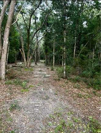 5.4 Acres of Land for Sale in Greenville, Florida