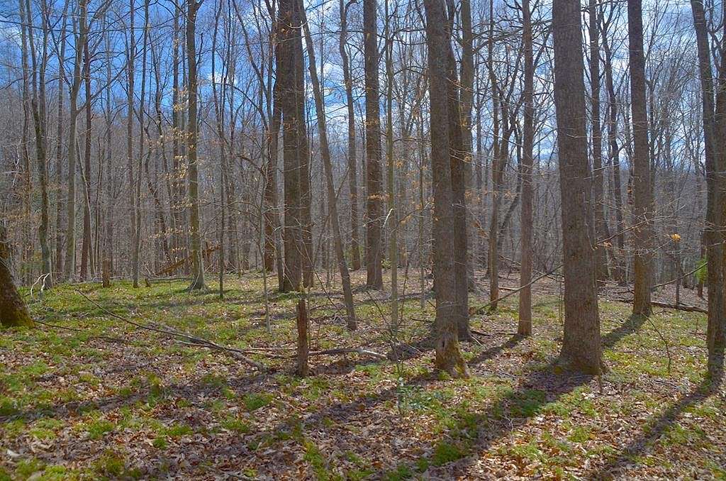 2 Acres of Residential Land for Sale in Stuart, Virginia