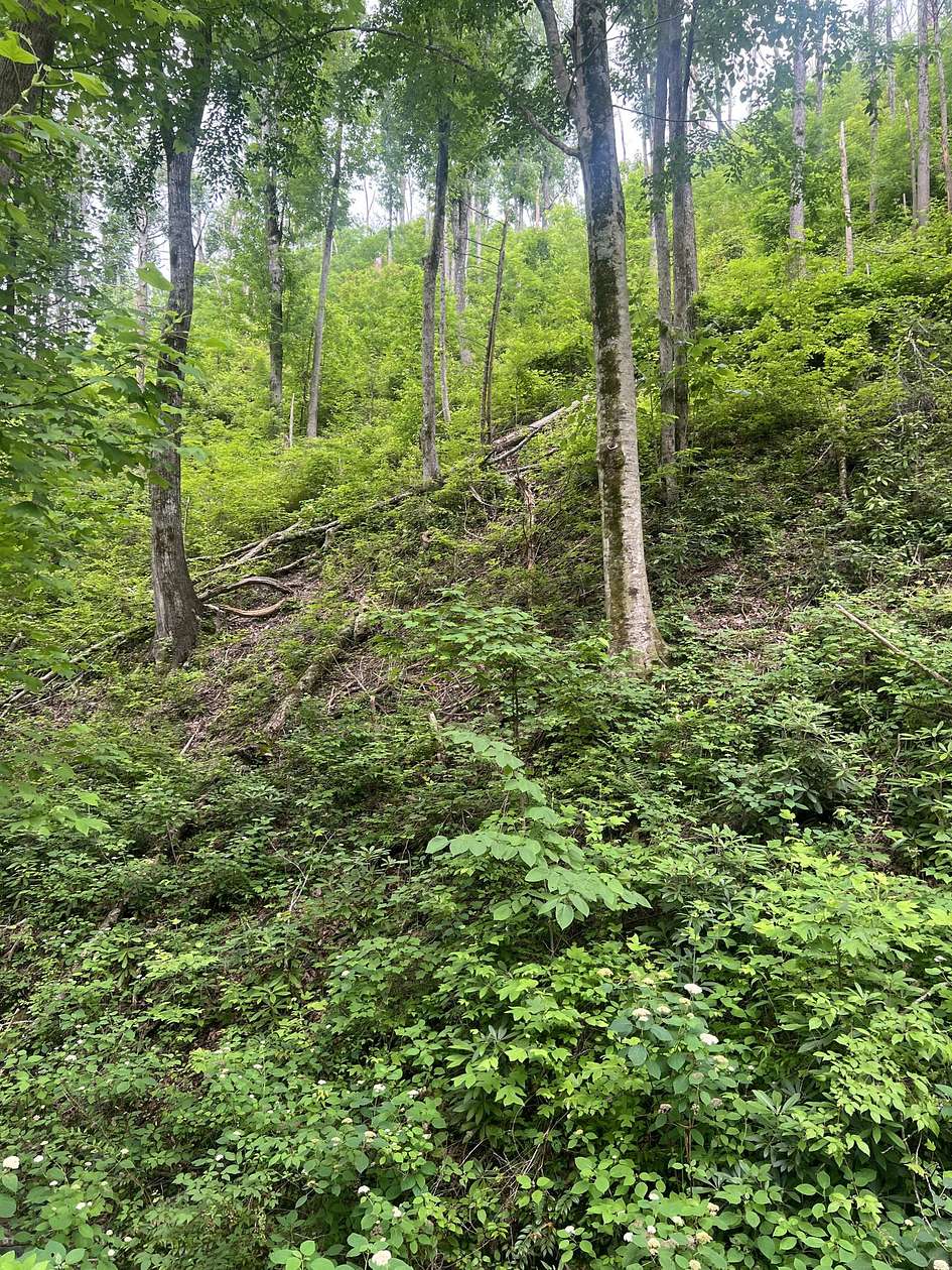 0.81 Acres of Residential Land for Sale in Gatlinburg, Tennessee