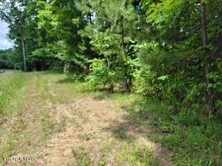 1 Acre of Land for Sale in Jamestown, Tennessee