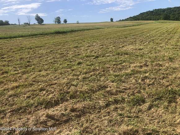 23.9 Acres of Agricultural Land for Sale in Clarks Summit, Pennsylvania