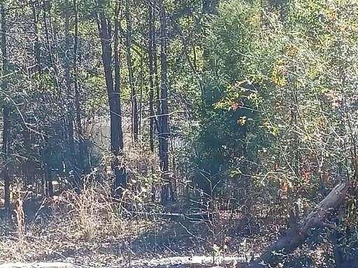 0.71 Acres of Land for Sale in Georgetown, Georgia