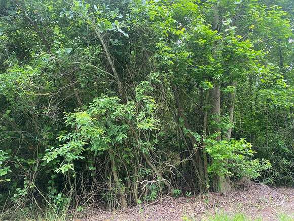 1 Acre of Land for Sale in St. George, South Carolina