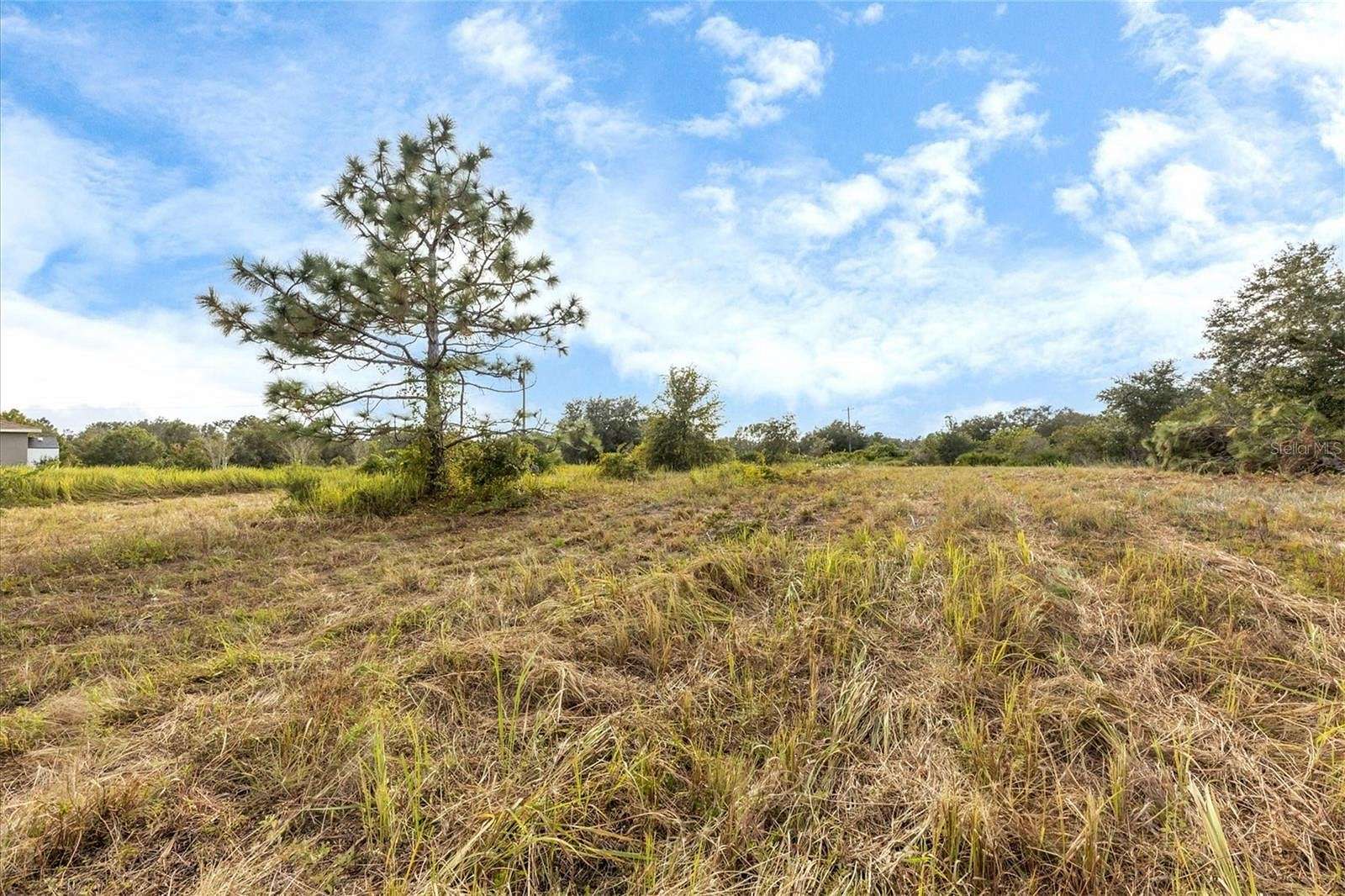 1.1 Acres of Residential Land for Sale in Myakka City, Florida