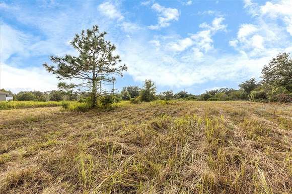 1.14 Acres of Residential Land for Sale in Myakka City, Florida