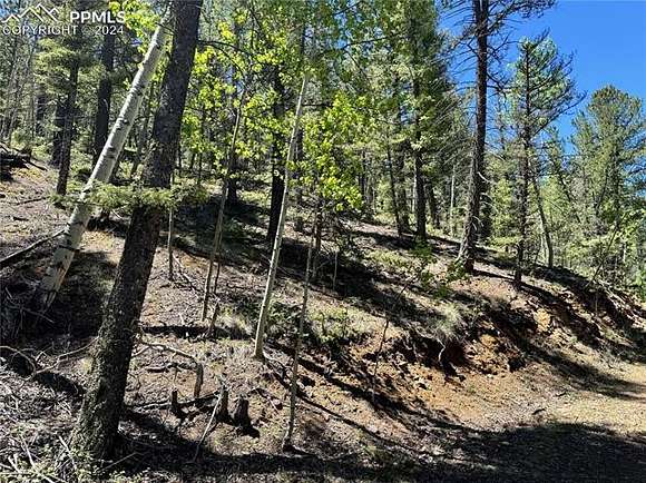 7.4 Acres of Land for Sale in Cripple Creek, Colorado
