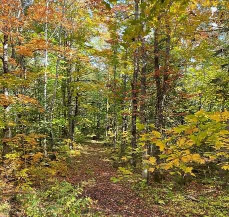 440 Acres of Recreational Land for Sale in Wakefield, Michigan