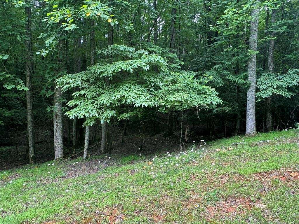 0.57 Acres of Residential Land for Sale in Ellijay, Georgia