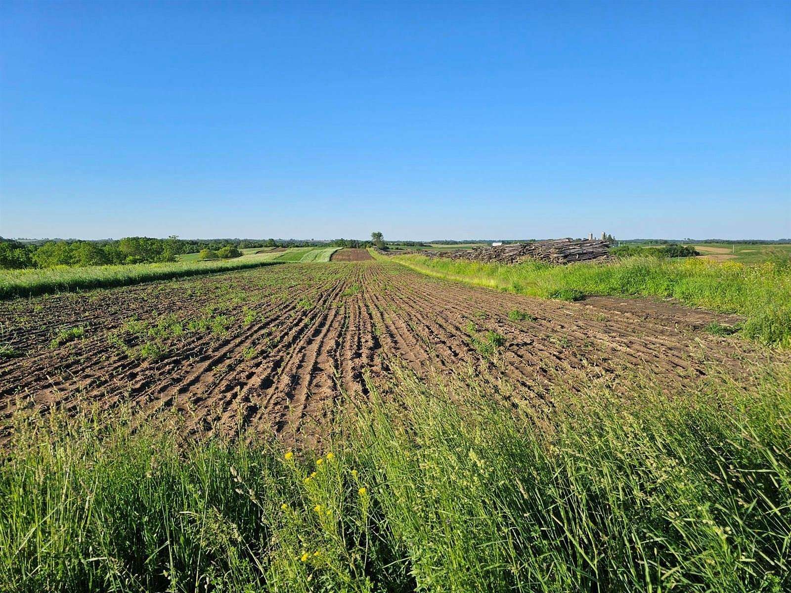 39.7 Acres of Agricultural Land for Sale in Harmony Town, Wisconsin