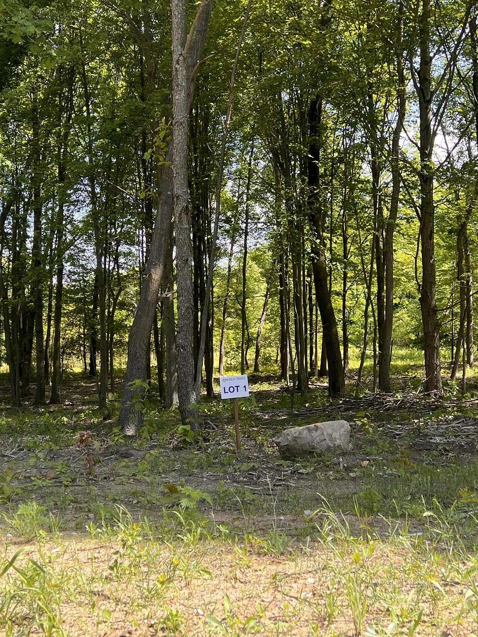 3 Acres of Residential Land for Sale in Lowell, Michigan