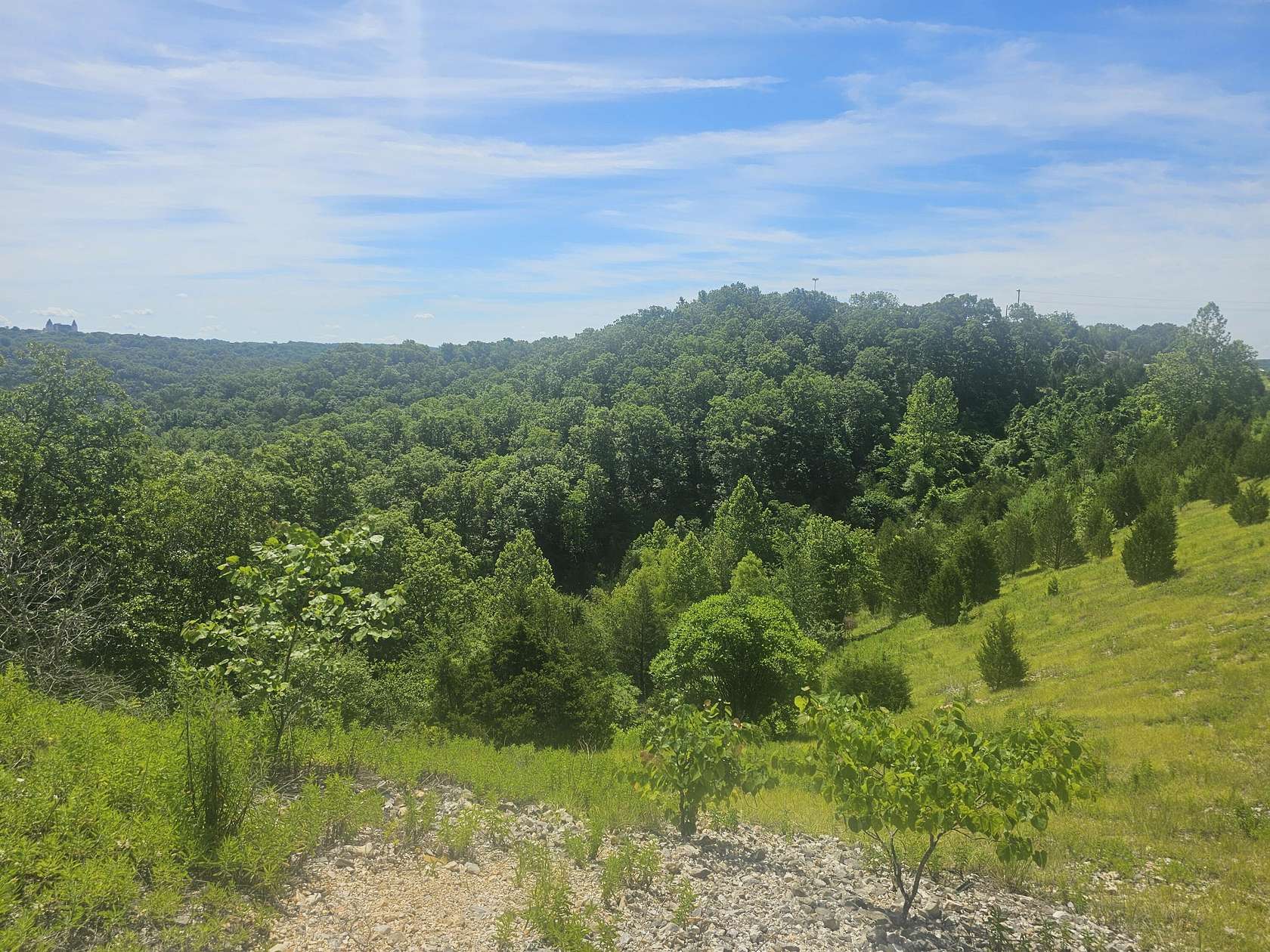 29.52 Acres of Land for Sale in Highlandville, Missouri