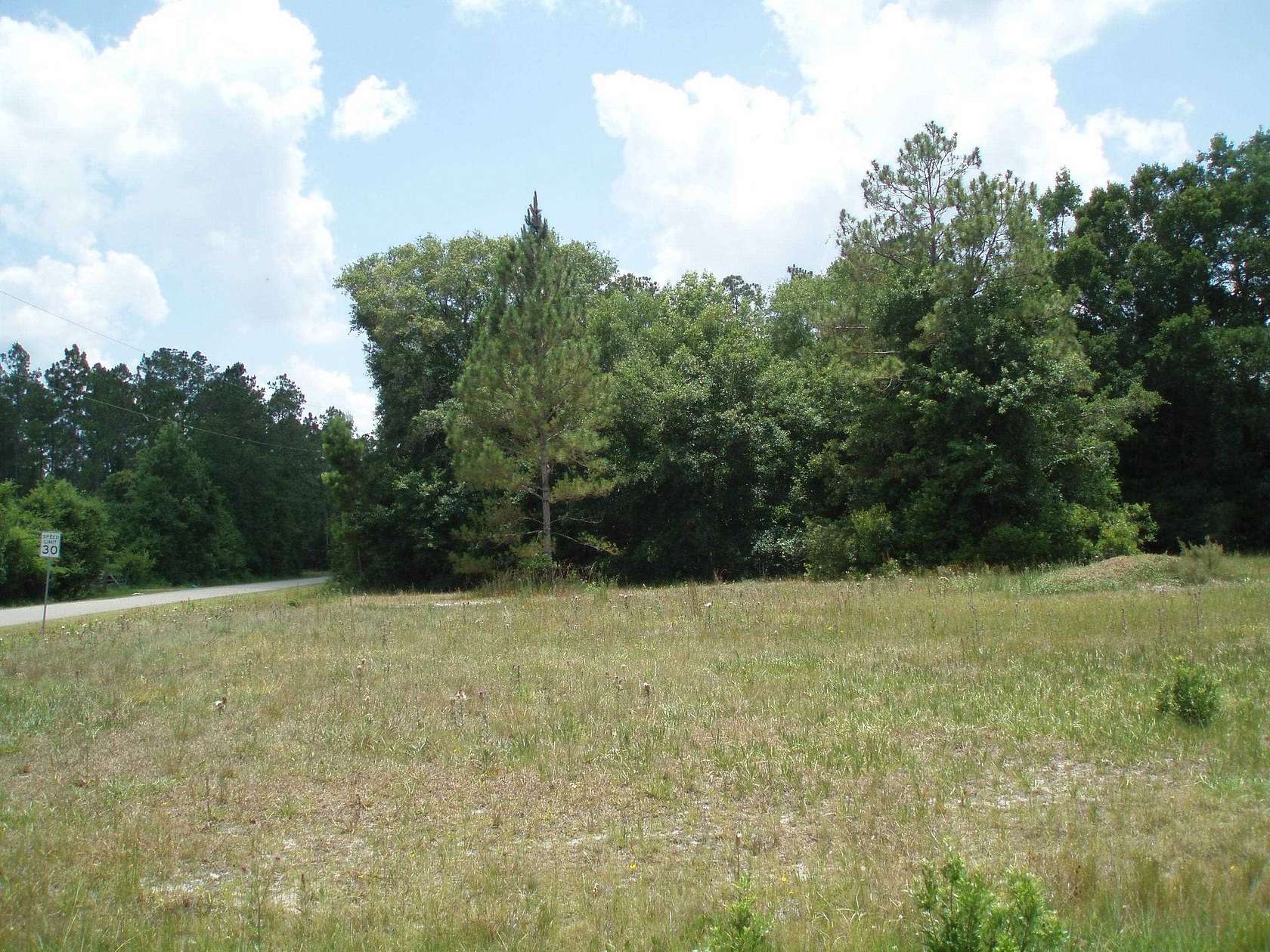 1.2 Acres of Residential Land for Sale in Hastings, Florida