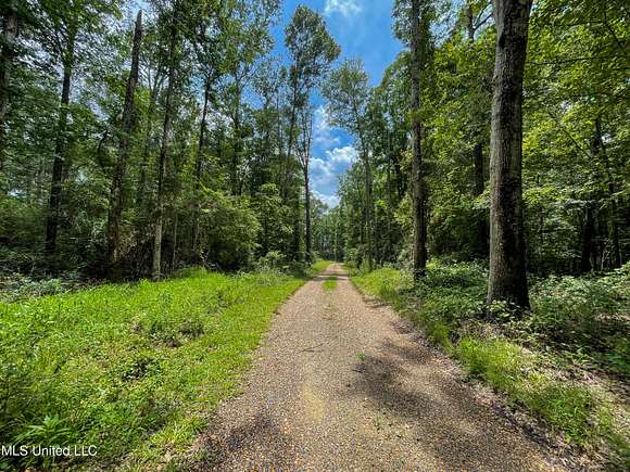 11.7 Acres of Land for Sale in Puckett, Mississippi