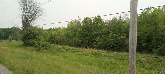 41.2 Acres of Recreational Land for Sale in Antwerp, New York