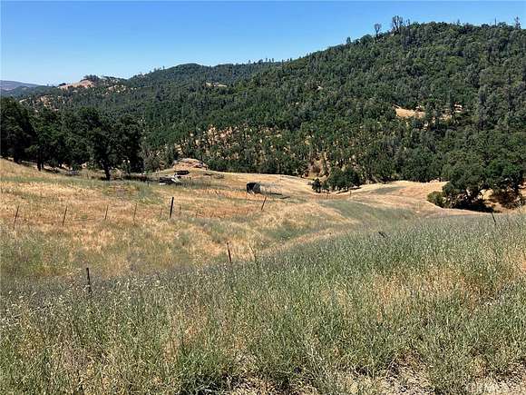 42.7 Acres of Agricultural Land for Sale in Lower Lake, California
