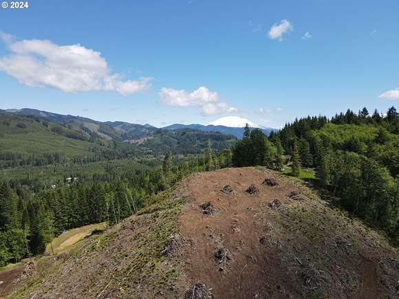 10 Acres of Recreational Land for Sale in Ariel, Washington