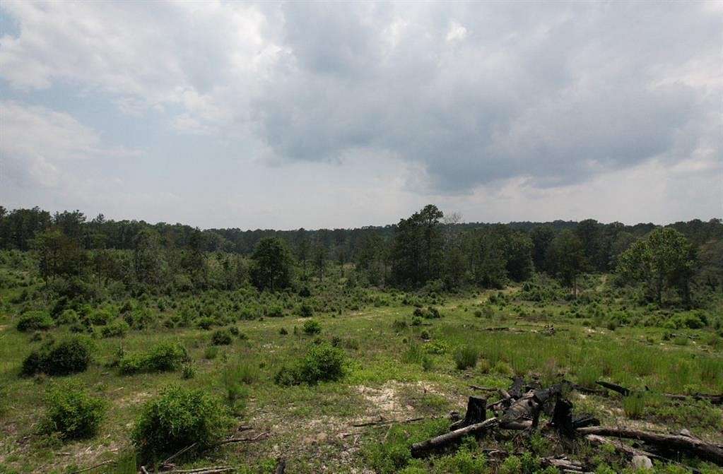 93 Acres of Recreational Land & Farm for Sale in Burkeville, Texas