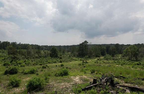 93 Acres of Recreational Land for Sale in Burkeville, Texas