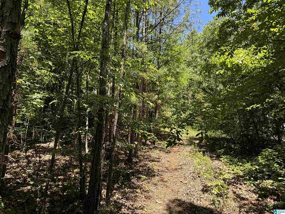 3 Acres of Residential Land for Sale in Piedmont, Alabama