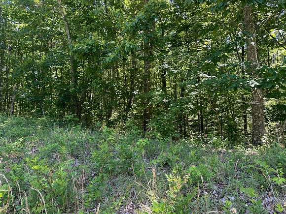 3.3 Acres of Residential Land for Sale in South Pittsburg, Tennessee