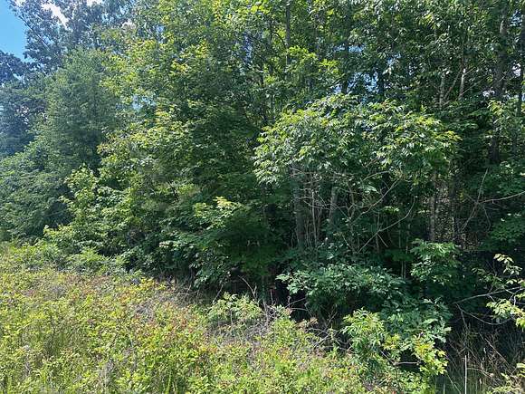 1.4 Acres of Residential Land for Sale in South Pittsburg, Tennessee