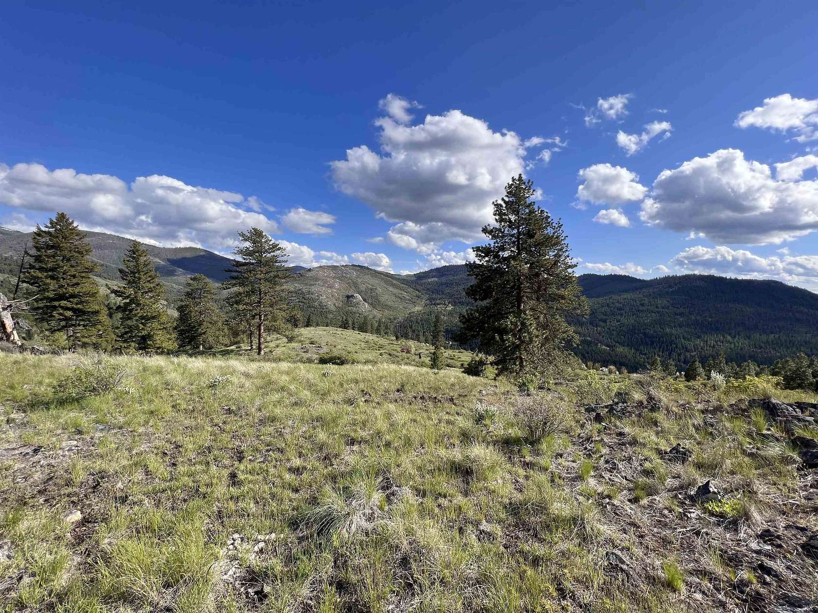 10 Acres of Recreational Land for Sale in Republic, Washington