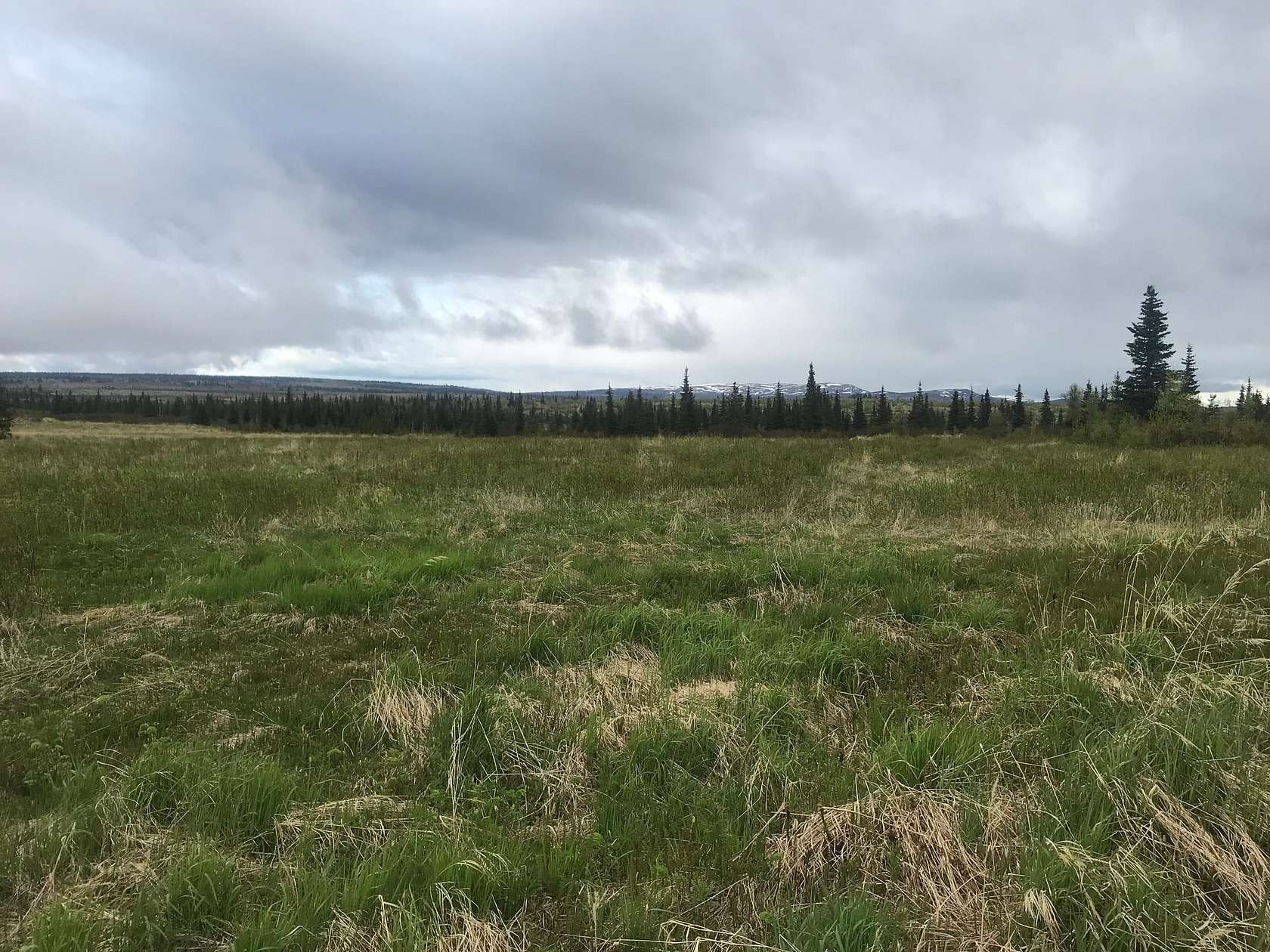 36.07 Acres of Recreational Land for Sale in Ninilchik, Alaska