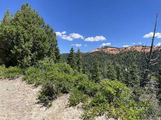 10 Acres of Recreational Land for Sale in Duck Creek Village, Utah