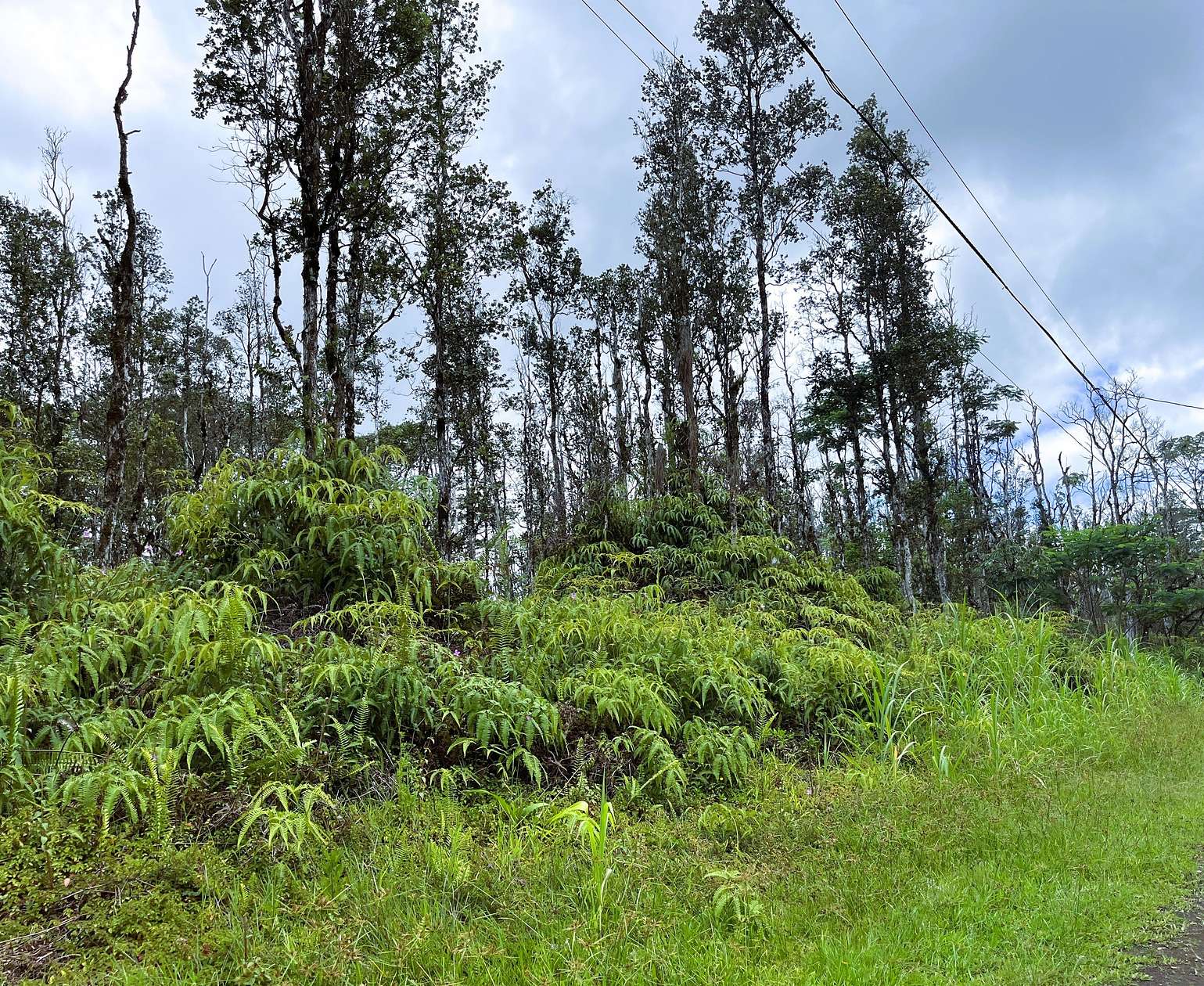 0.19 Acres of Residential Land for Sale in Pahoa, Hawaii