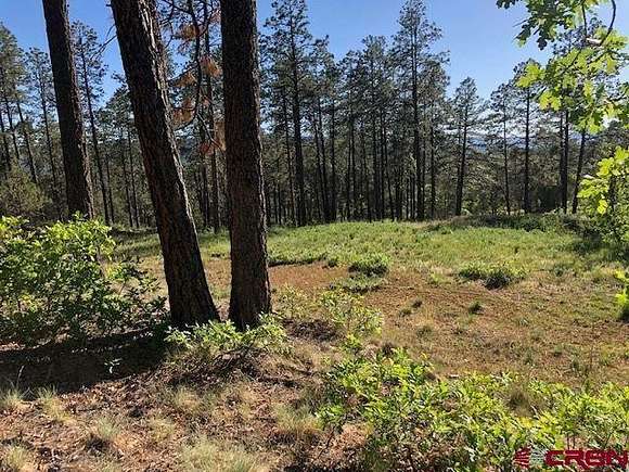 2.2 Acres of Residential Land for Sale in Pagosa Springs, Colorado