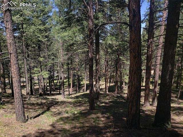 1 Acre of Residential Land for Sale in Woodland Park, Colorado