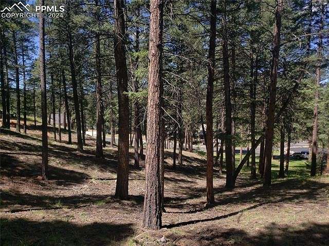 1 Acre of Residential Land for Sale in Woodland Park, Colorado