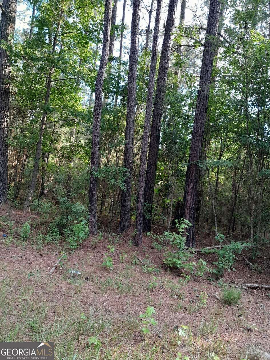 0.8 Acres of Residential Land for Sale in Pembroke, Georgia