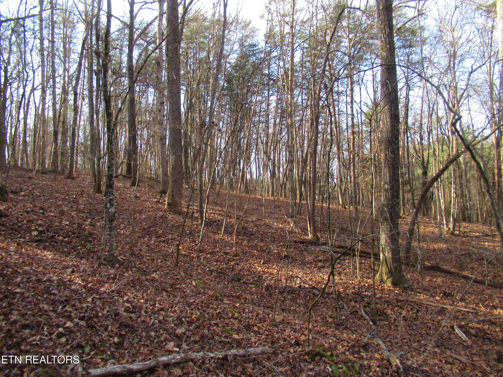 12.4 Acres of Land for Sale in Maryville, Tennessee