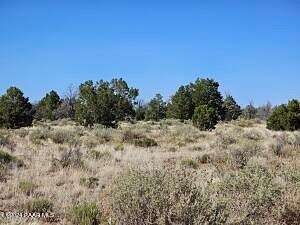 12.01 Acres of Agricultural Land for Sale in Williams, Arizona