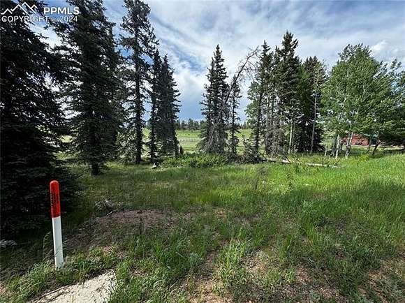 2 Acres of Residential Land for Sale in Divide, Colorado