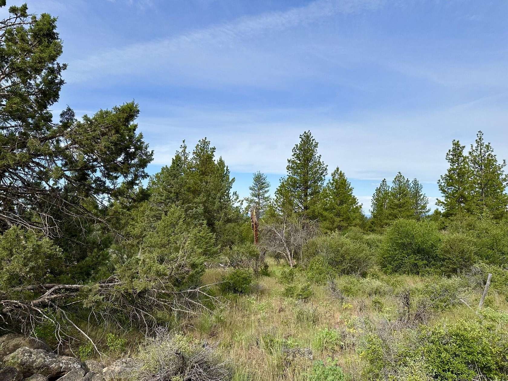 2.82 Acres of Residential Land for Sale in Bonanza, Oregon