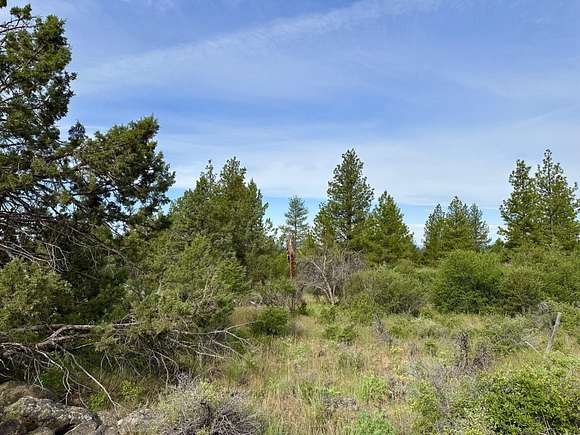 2.8 Acres of Residential Land for Sale in Bonanza, Oregon