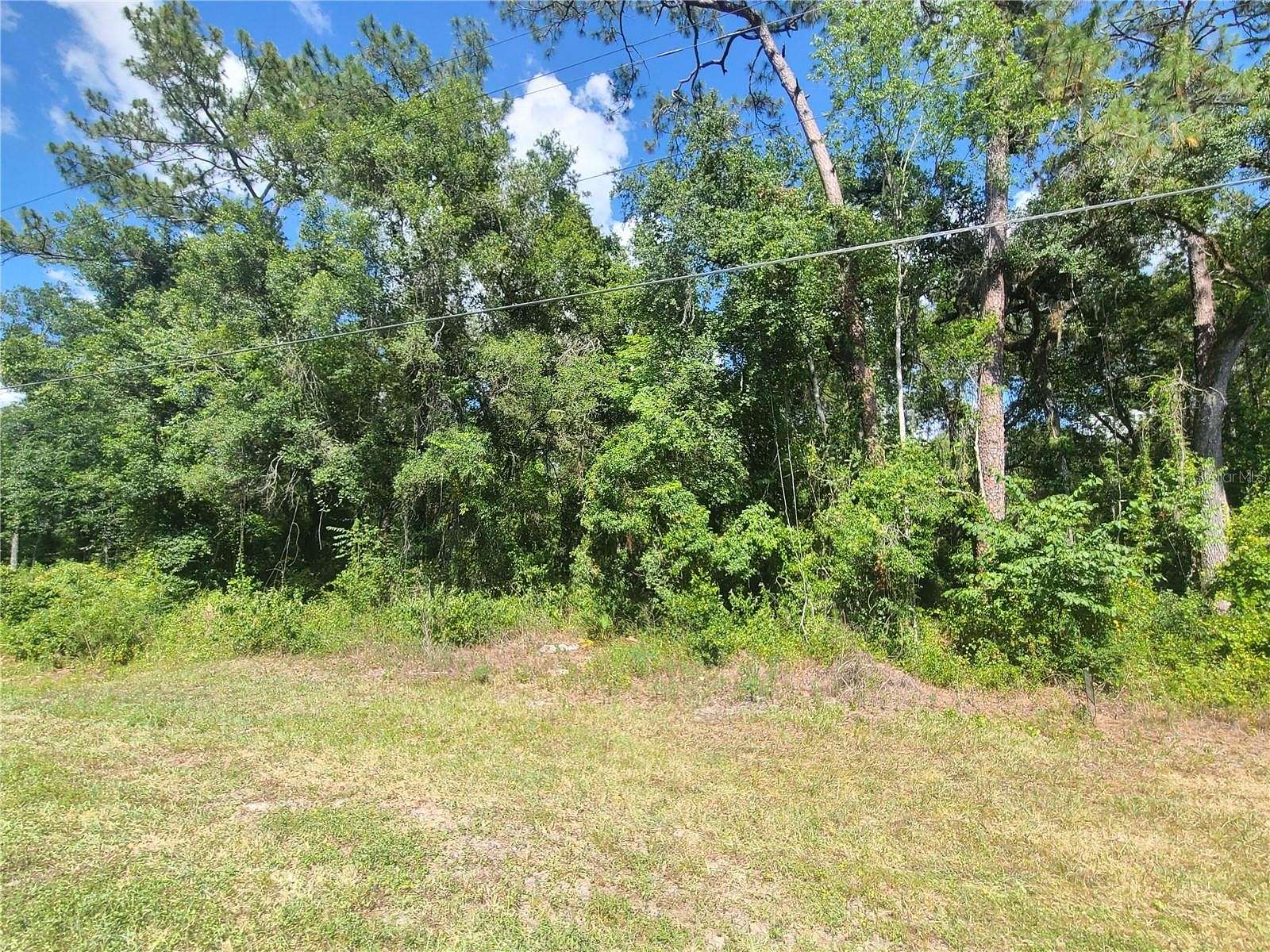 0.35 Acres of Residential Land for Sale in Webster, Florida