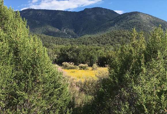 39.3 Acres of Recreational Land for Sale in Magdalena, New Mexico