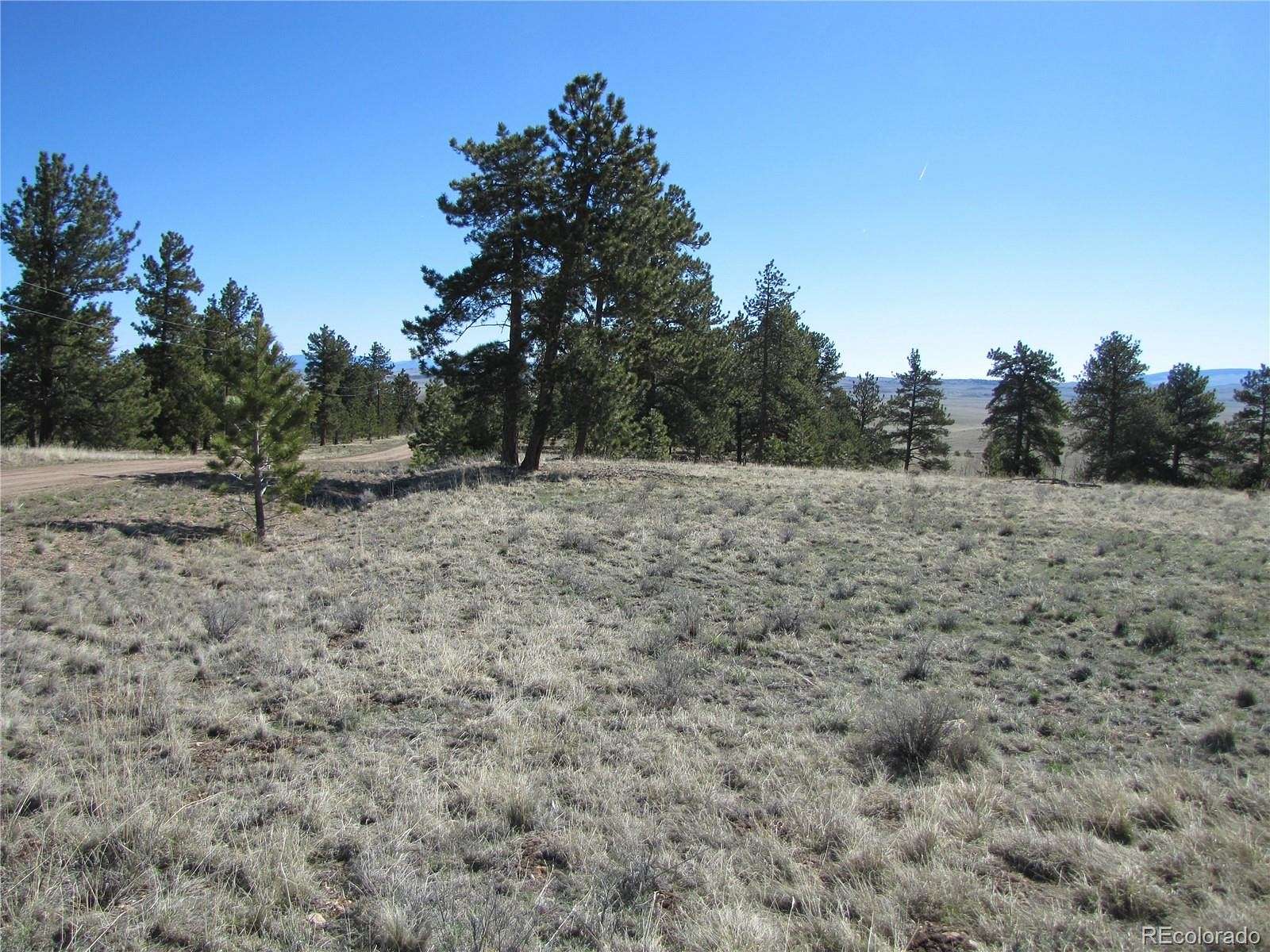 3 Acres of Land for Sale in Hartsel, Colorado