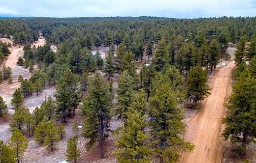 0.83 Acres of Residential Land for Sale in Florissant, Colorado